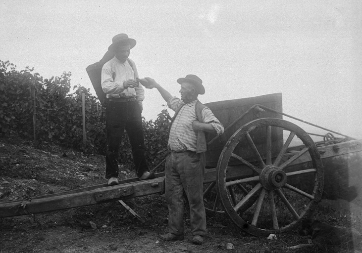 Présentation de la commune de Lézigneux