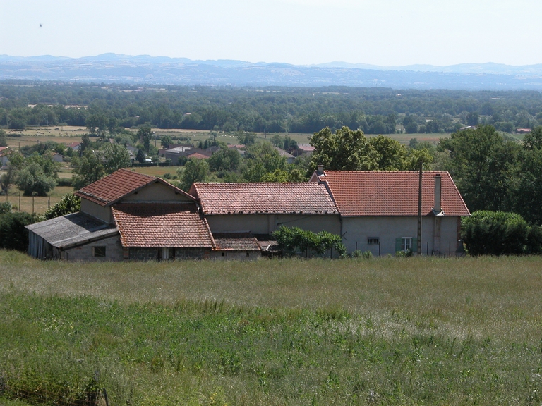 Ferme