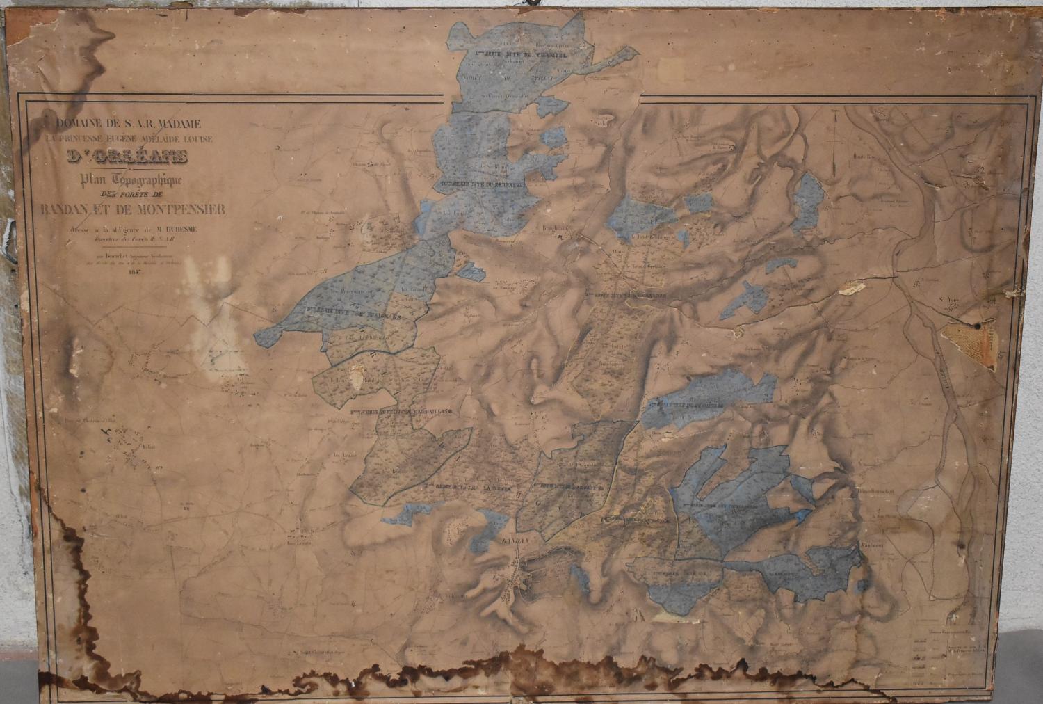 Plan topographique des forêts de Randan et de de Montpensier (1847)