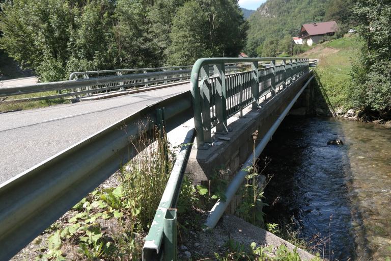 Pont des Portes