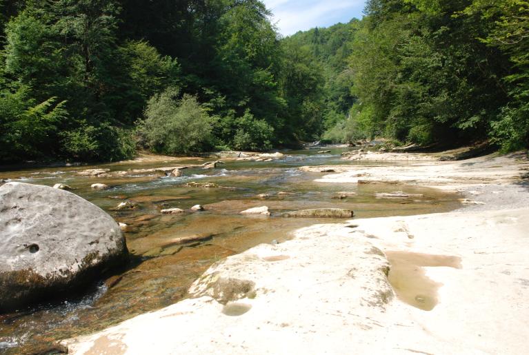 Moulin, dit Moulin Janin