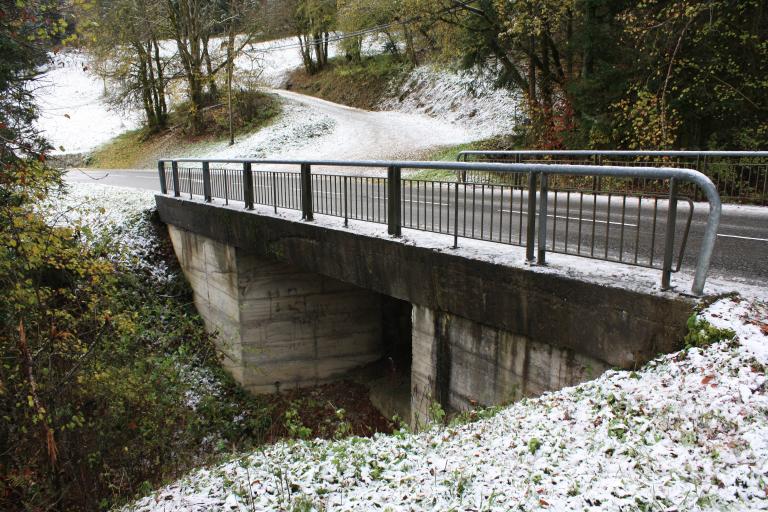 Pont de la Vernaz