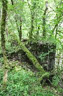 Moulin à farine et battoir Ducret actuellement vestiges