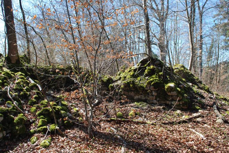 Château de Cusy