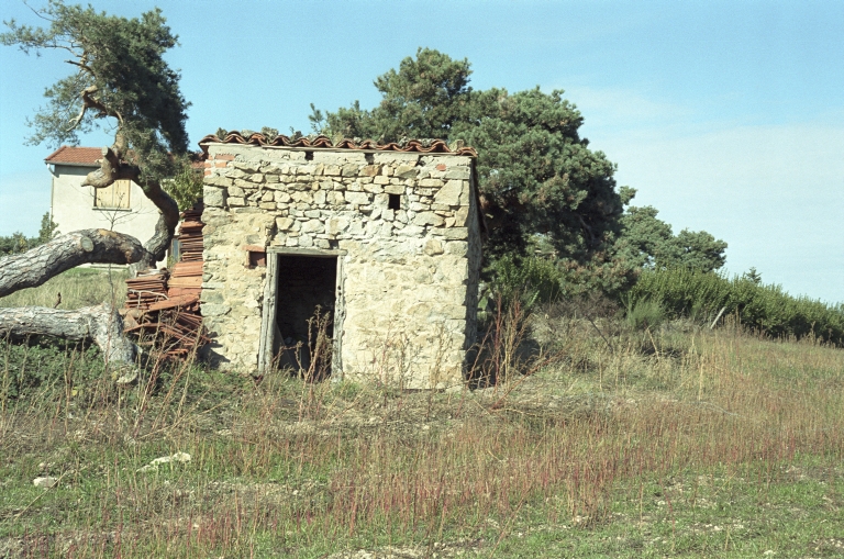 Les cabanes de vigne, dites loges de vigne, du canton de Boën et de la commune de Sail-sous-Couzan