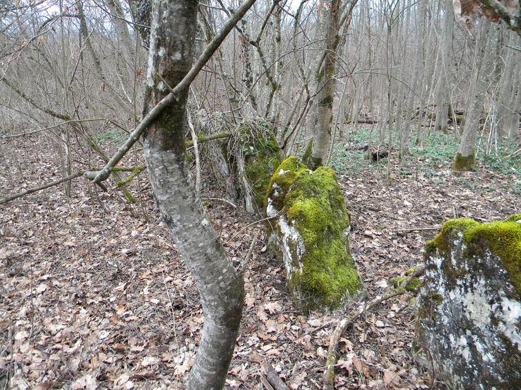 Ancien cimetière de Doussard