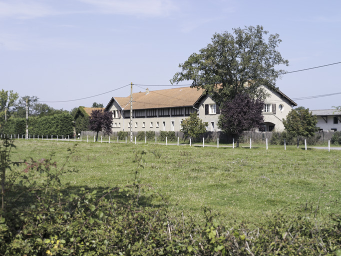 Élevage de chevaux de course