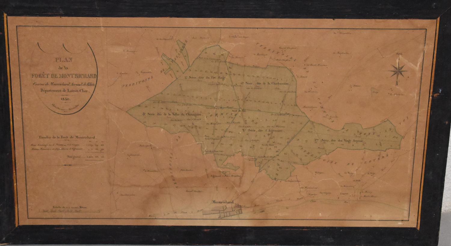 Plan de la forêt de Montrichard (1850)