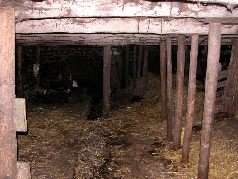 Ferme d'estive, dite jasserie, actuellement ferme