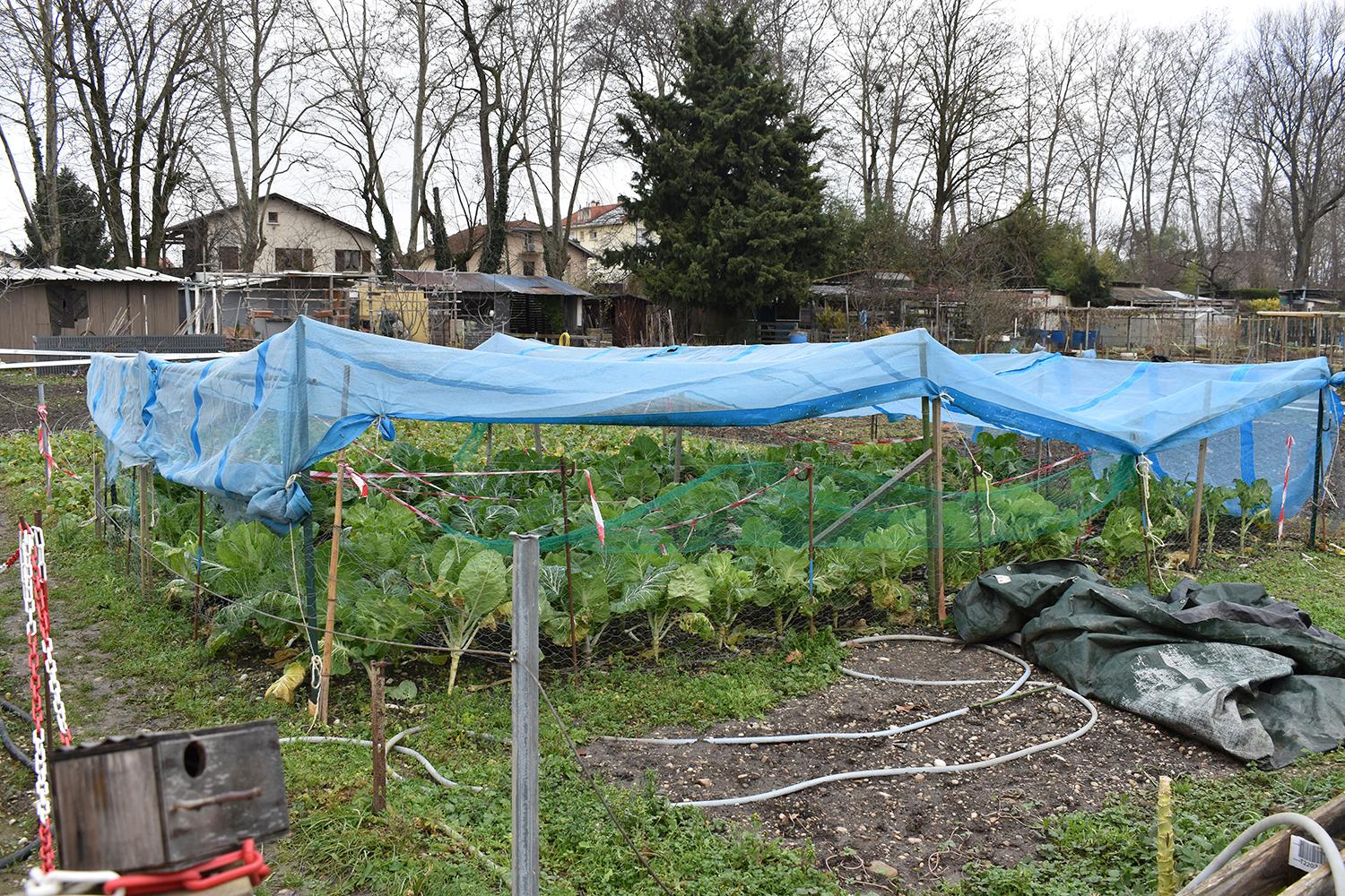 Jardins ouvriers de la Rize