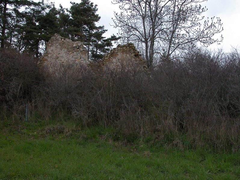 Cabane de vigneron, dite loge de vigne