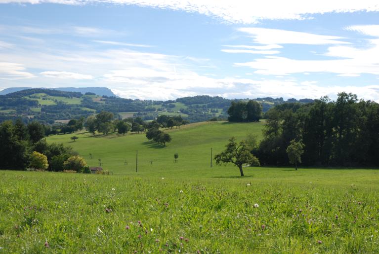 Présentation de la commune de Mûres