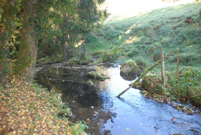 Moulins et battoir Petit