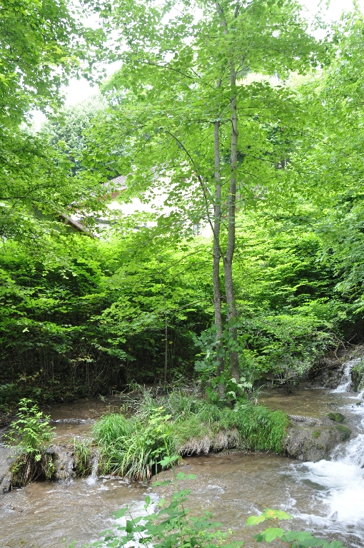 Paysage du bassin-versant du Rhône