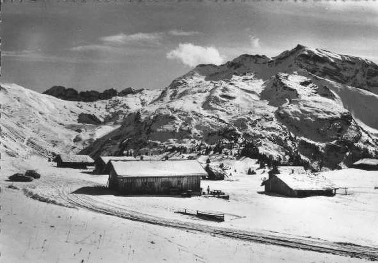 Station de sports d'hiver : Avoriaz