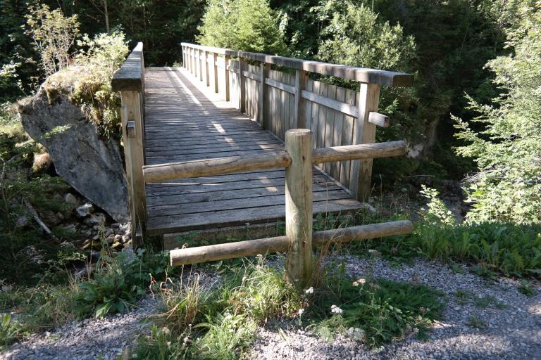 Passerelle piétonne de Porte