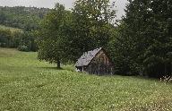Grangette