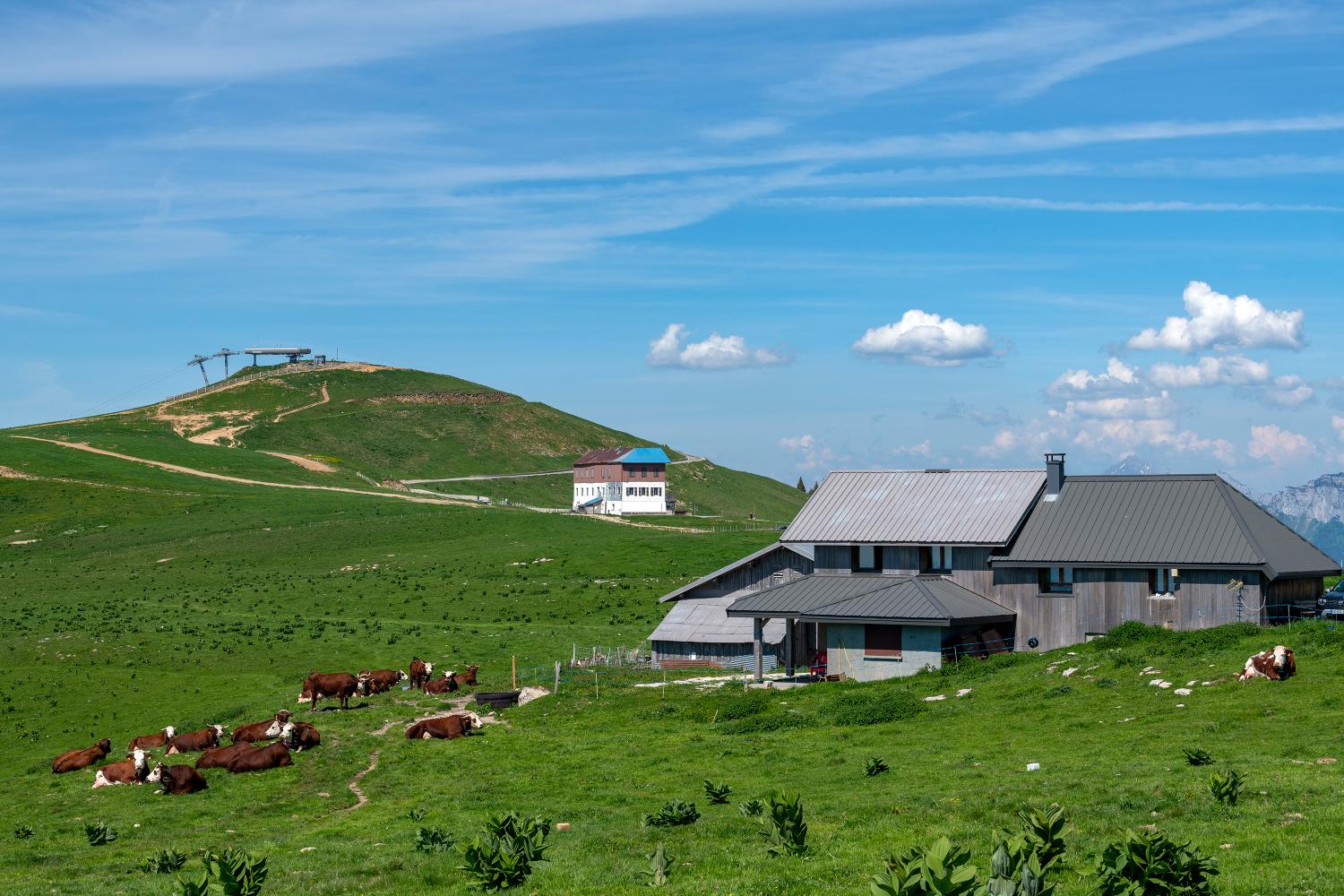 Chalets Dussolier puis Chalets des Frêtes (ou Sur Frettes)