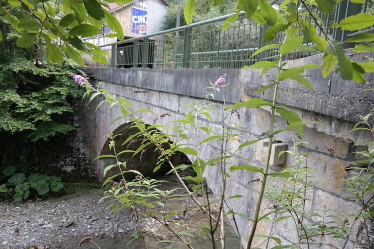 Pont de Bioge