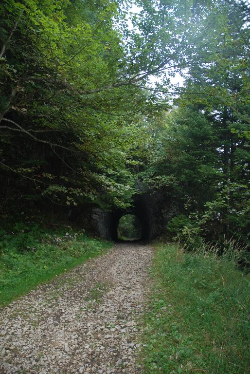 Funiculaire dit chemin de fer à crémaillère du Revard