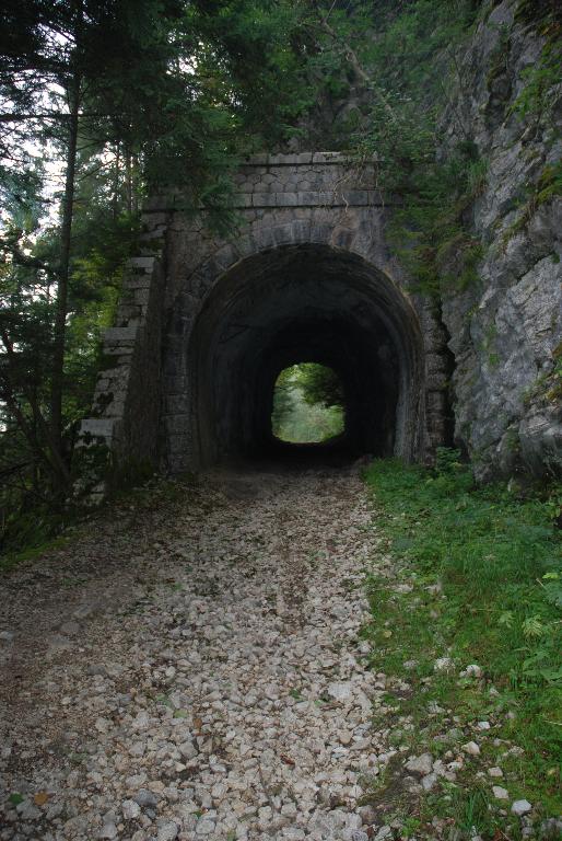 Funiculaire dit chemin de fer à crémaillère du Revard