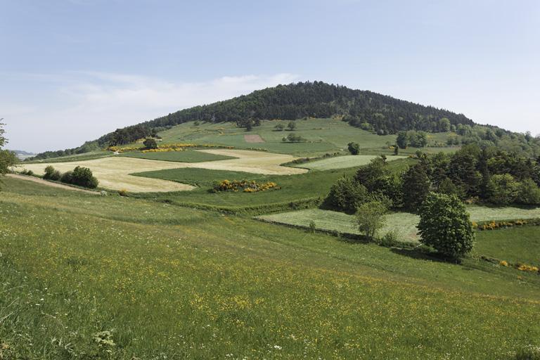 Présentation du canton de Montbrison