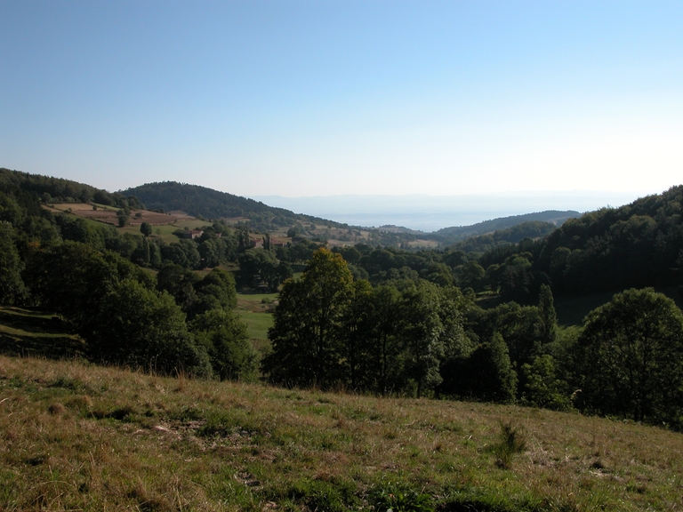 Présentation de la commune de Roche