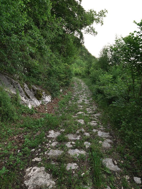 Chemin d'Allèves au Semnoz.