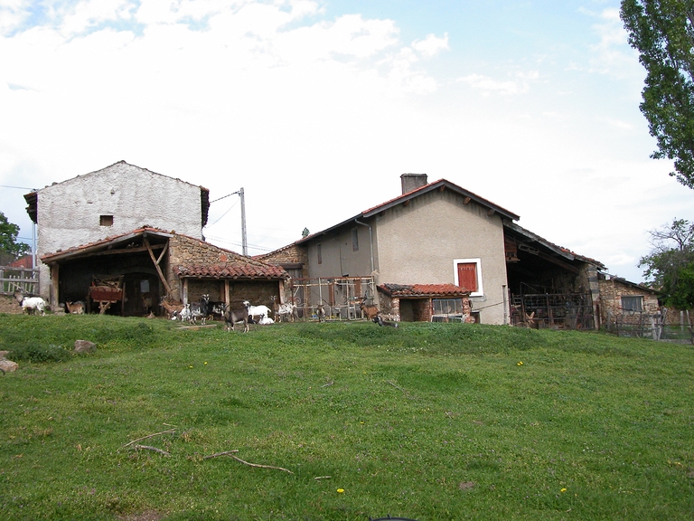 Ferme