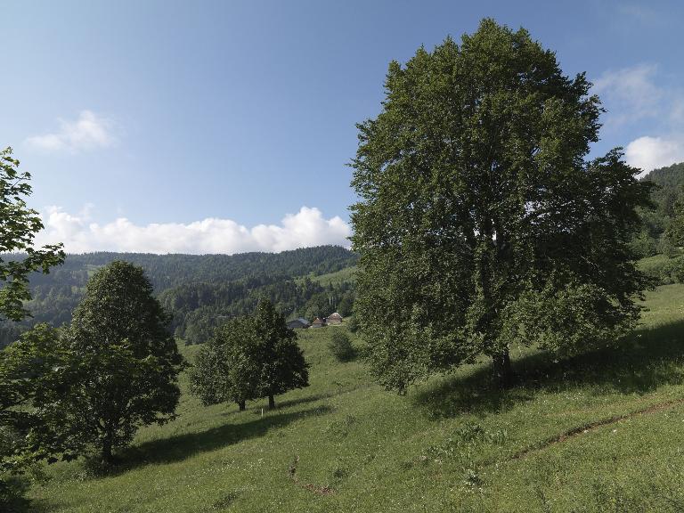 L'alpage de la Clusaz (Montcel).