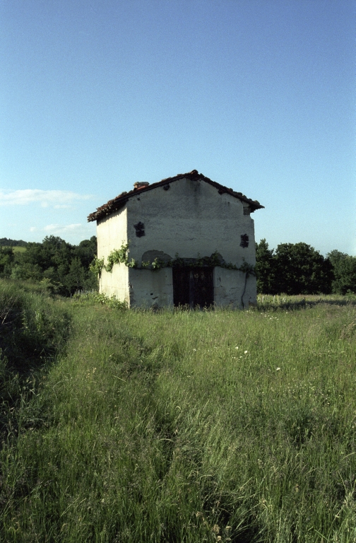 Les cabanes de vigne, dites loges de vigne, du canton de Boën et de la commune de Sail-sous-Couzan