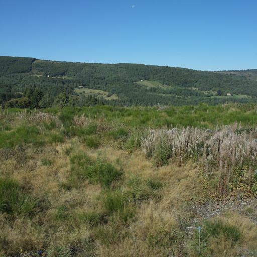 Présentation de la commune de Roche