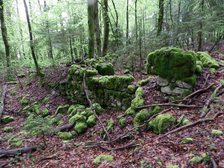 Moulin à farine du Cret actuellement vestiges