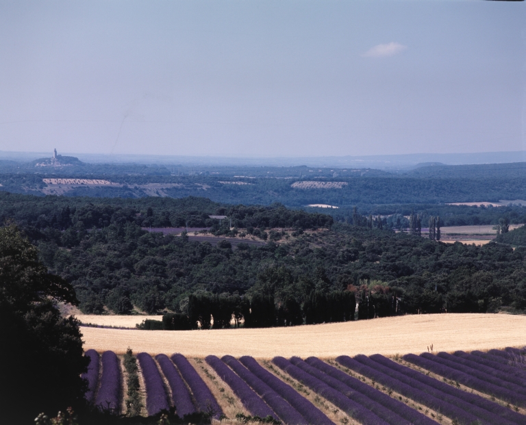 Présentation de la commune de Grignan