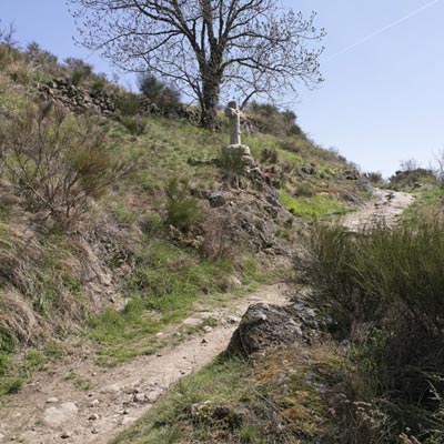 Croix de chemin, dite croix des Argnats