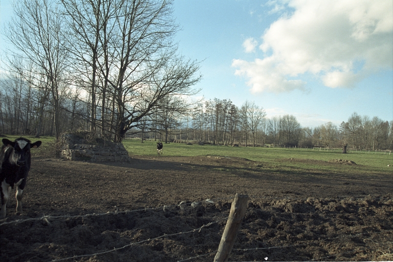 Présentation de la commune de Trelins