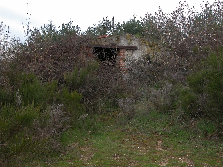 Cabane de vigneron, dite loge de vigne