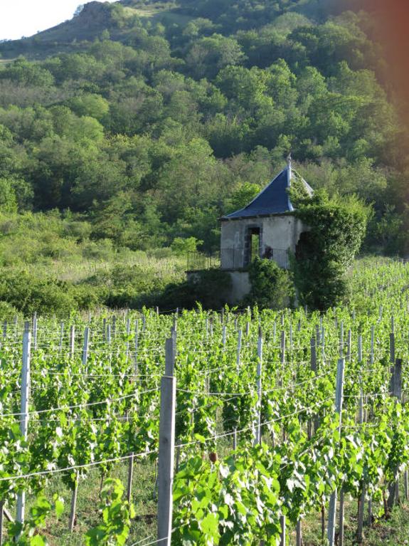 "Tonne" à l'abandon au milieu des vignes (Pérignat)