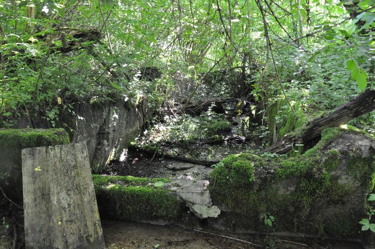 Scierie et foulon du seigneur de Bonvillard puis Berthet puis Cordel actuellement vestiges