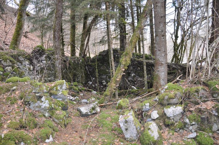 Moulin à farine du prieuré de Bellevaux puis moulin Nicollet actuellement vestiges