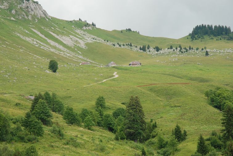 Le pastoralisme dans le Parc naturel régional du Massif des Bauges