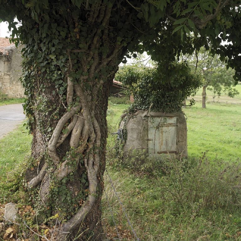 Présentation de la commune de Lézigneux