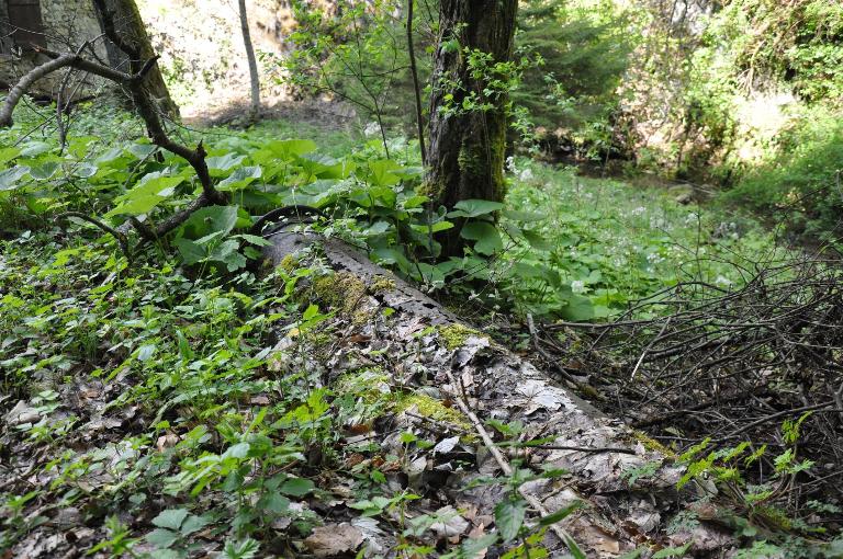 Moulin à farine Bertholet actuellement sans affectation