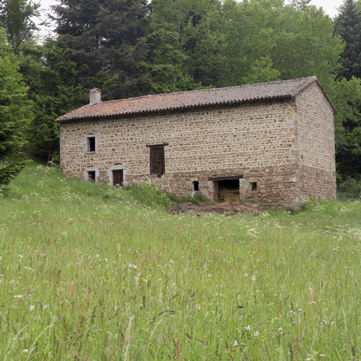 Ferme d'estive, dite jasserie