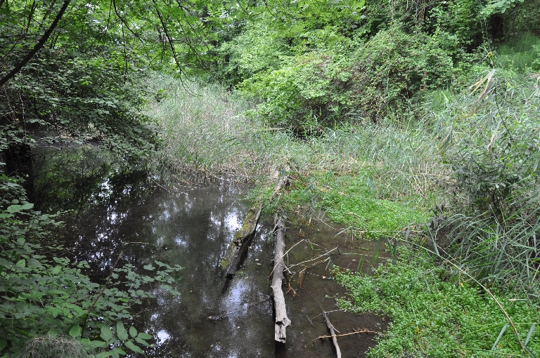 Moulin Bimet dit moulin de Chanaz actuellement moulin visitable