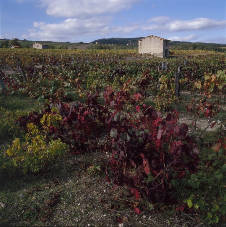 Présentation de la commune de Marcilly-le-Châtel