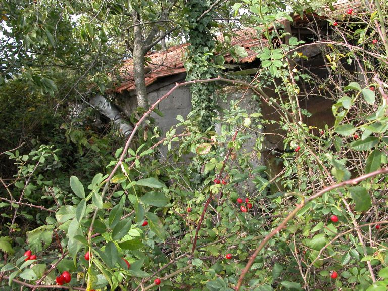 Cabane de vigneron, dite loge de vigne