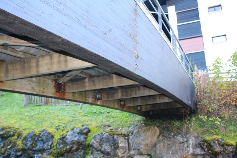 Passerelle de Carry