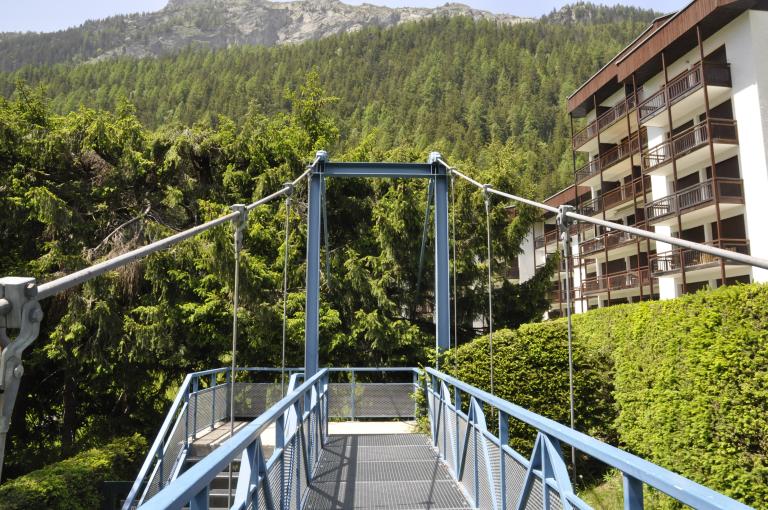 Passerelle des Verginaux