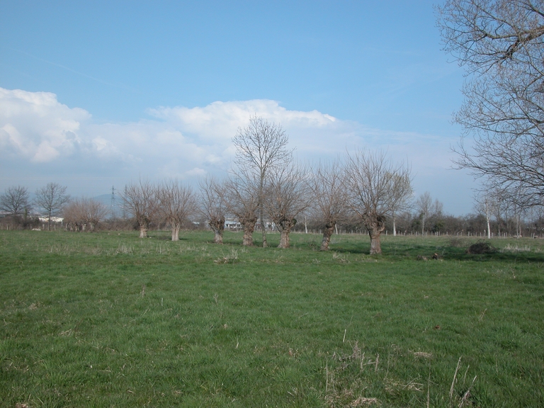 Présentation de la commune de Savigneux